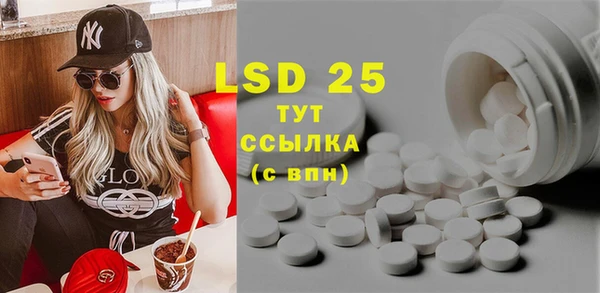 индика Верхний Тагил
