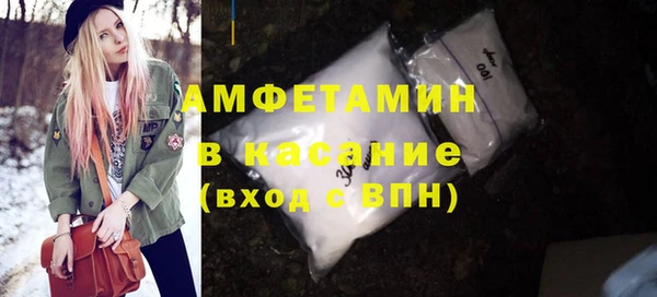 индика Верхний Тагил