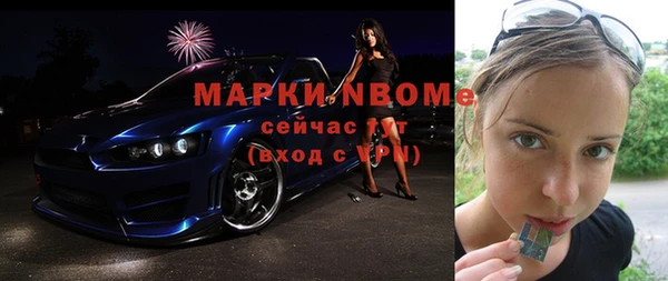 индика Верхний Тагил