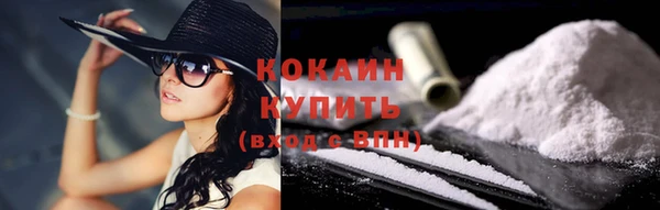 индика Верхний Тагил