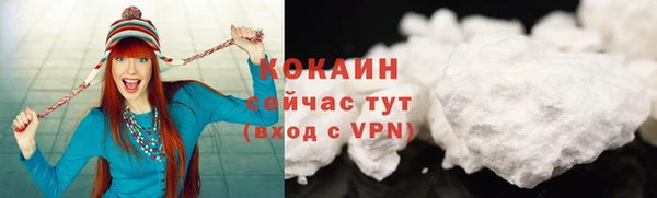 индика Верхний Тагил