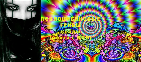 индика Верхний Тагил
