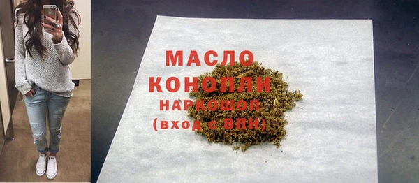 индика Верхний Тагил
