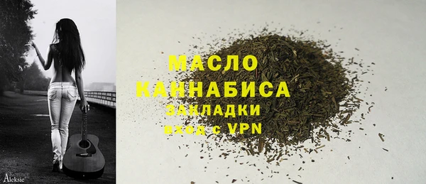 индика Верхний Тагил