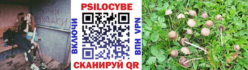 блэк спрут ссылка  Верхняя Пышма  Псилоцибиновые грибы MAGIC MUSHROOMS  купить закладку 